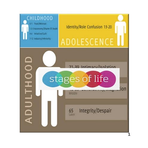 Stages of life 