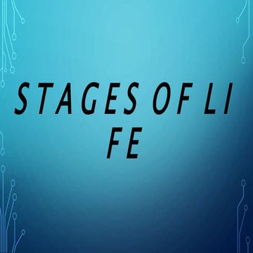 STAGES OF LIFE | PPTX