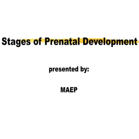 Stages of prenatal devt