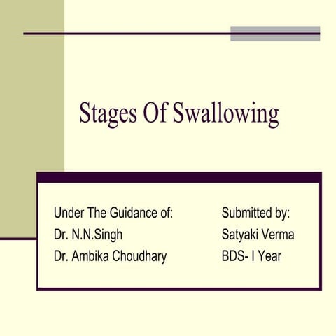 Stages of swallowing