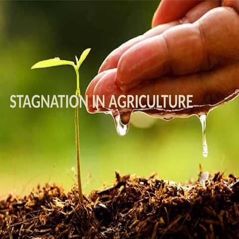 STAGNATION IN AGRICULTUdffdRE ANAGHA.pptx