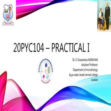 Staining   endospore