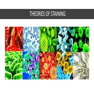 Theories of Staining