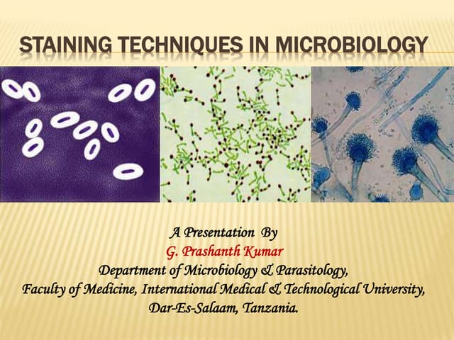 Staining Techniques in Microbiology