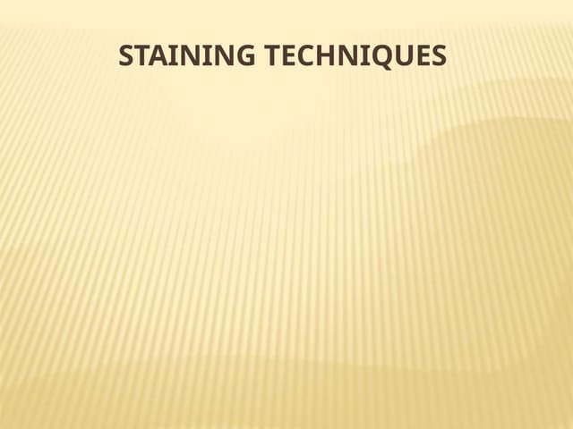 stainingtechniques ppt BPHARM SECOND YEAR .pptx