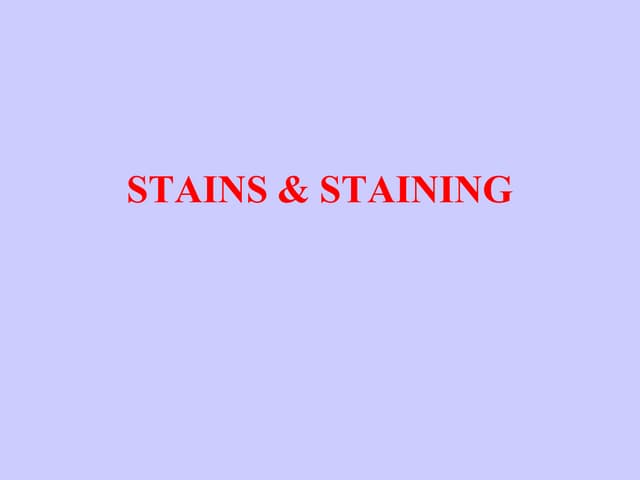 Stains - -staining.pptx