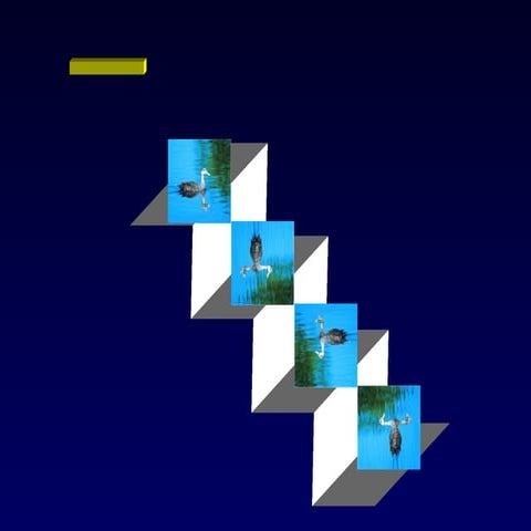 Triptico | PDF
