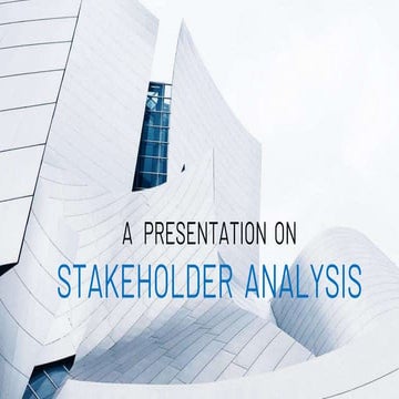 Stakeholder analysis