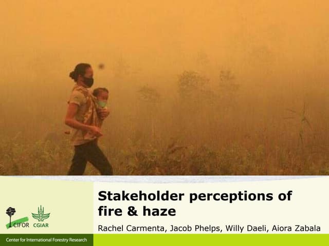 thumbnail of  Stakeholder perceptions of fire and haze