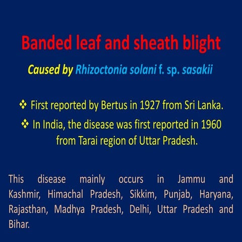 Maize diseases