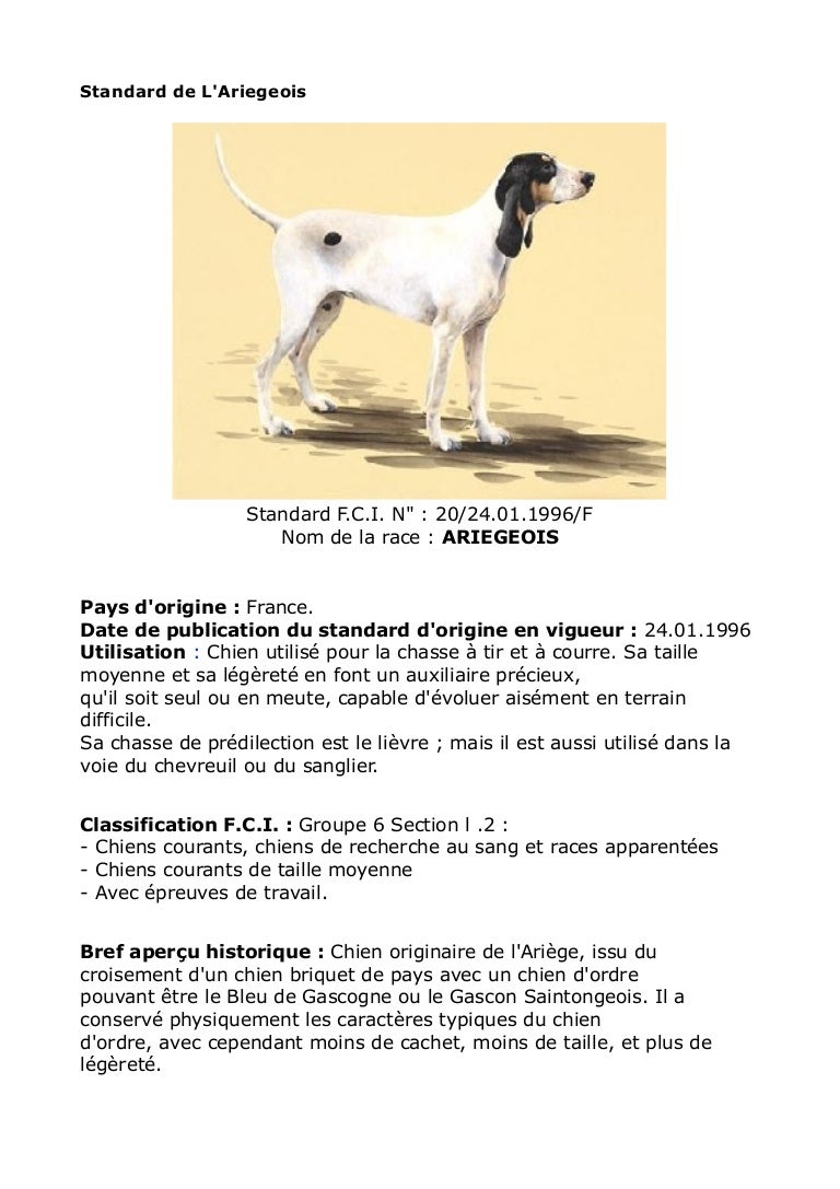 Standard Fci Ariegeois