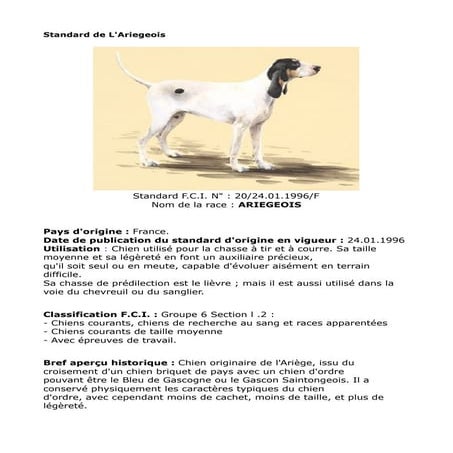 Standard fci ariègeois