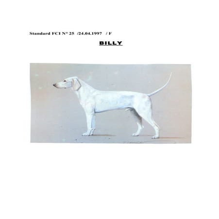 Standard fci billy
