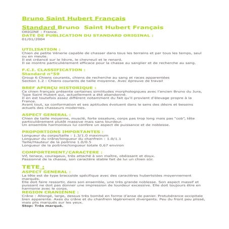 Standard fci bruno du jura type saint hubert