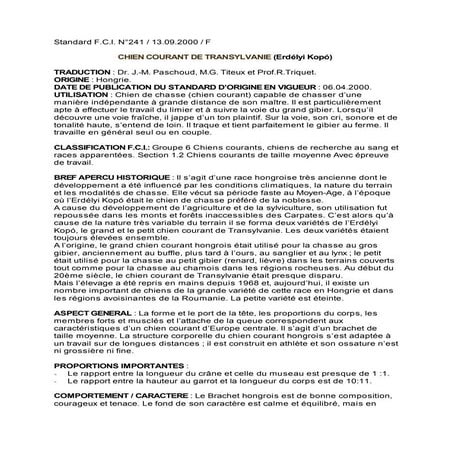 Standard fci chien courant de transylvanie