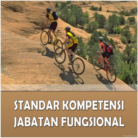 Standar Kompetensi Jabatan Fungsional