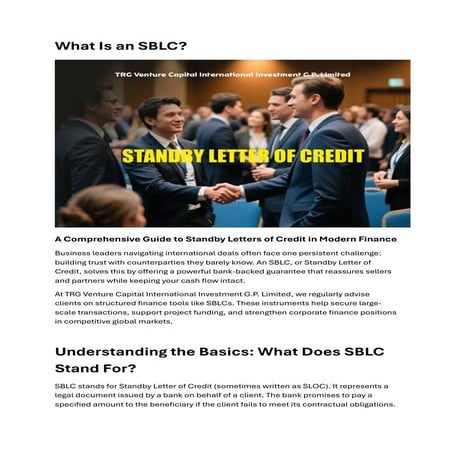 Loan with SBLC as Security . | PDF