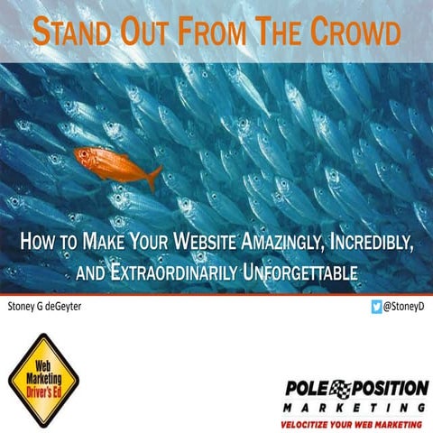 Stand Out From the Crowd: How to Make Your Website Amazingly, Incredibly, and...