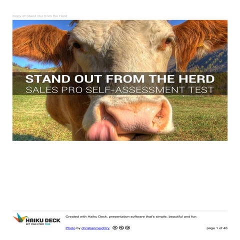 Stand Out From the Herd  - A Sales Professional's Self-Assessment Tool