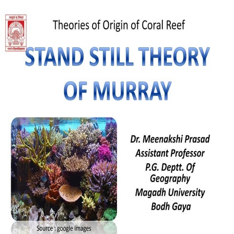 Stand still theory of murray