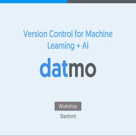 Version Control in Machine Learning + AI (Stanford) | PDF