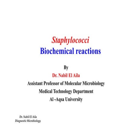 Staphylococci22بكتريا عملي 