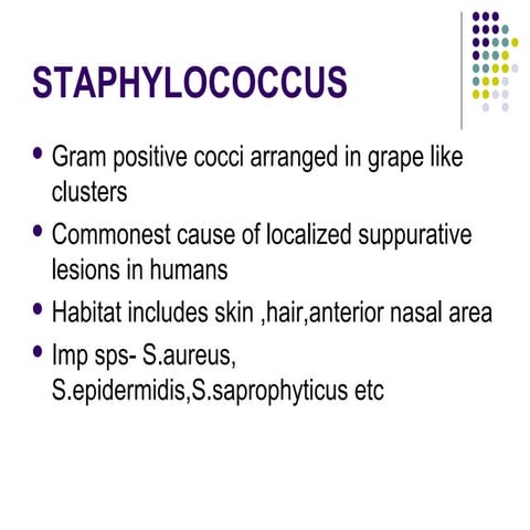 Staphylococcus