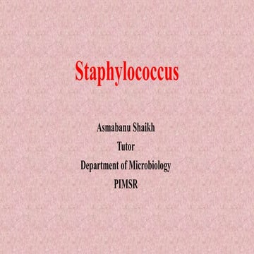 Staphylococcus