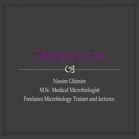 Staphylococcus by nissim