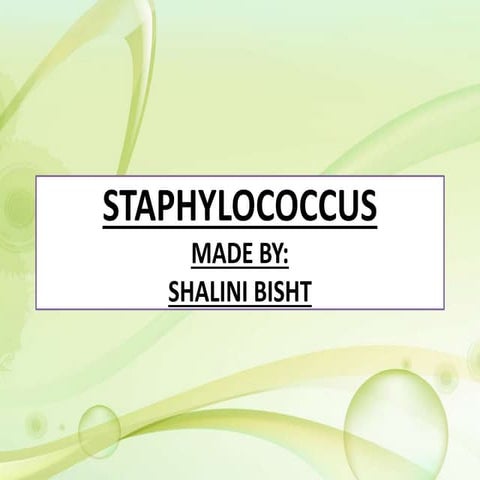 Staphylococcus