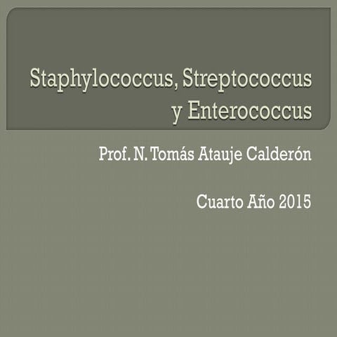 Staphylococcus, streptococcus y enterococcus