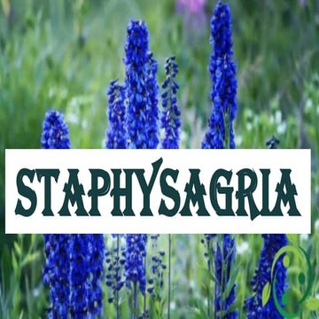 STAPHYSAGRIA.BHMS.MATERIA MEDICA.HOMOEOPATHY