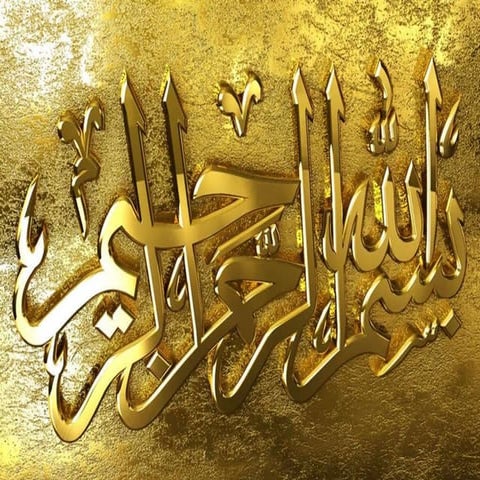 case # 5: starbucks coffee company