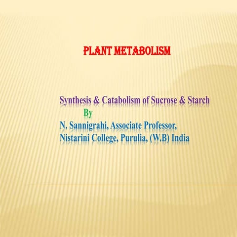 Starch & sucrose metabolism.pdf