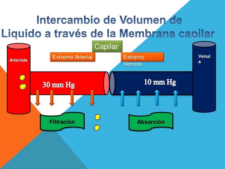 leyes de frank Starling