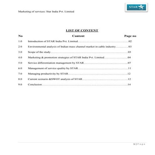 Marketing strategies of Star India Pvt. Limited