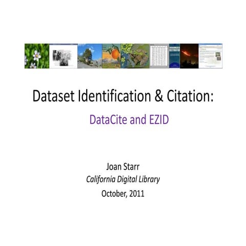 Dataset Identification and Citation