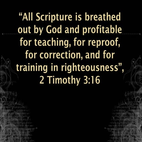 Starr white 11 19 12