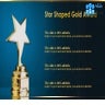 Star Shaped Gold Award