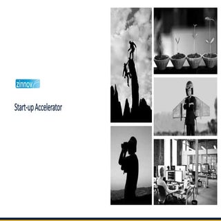Startup Accelerators