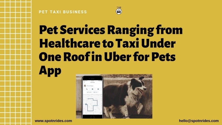Taxi Taking Pets In Uber Taxi Pets 2025