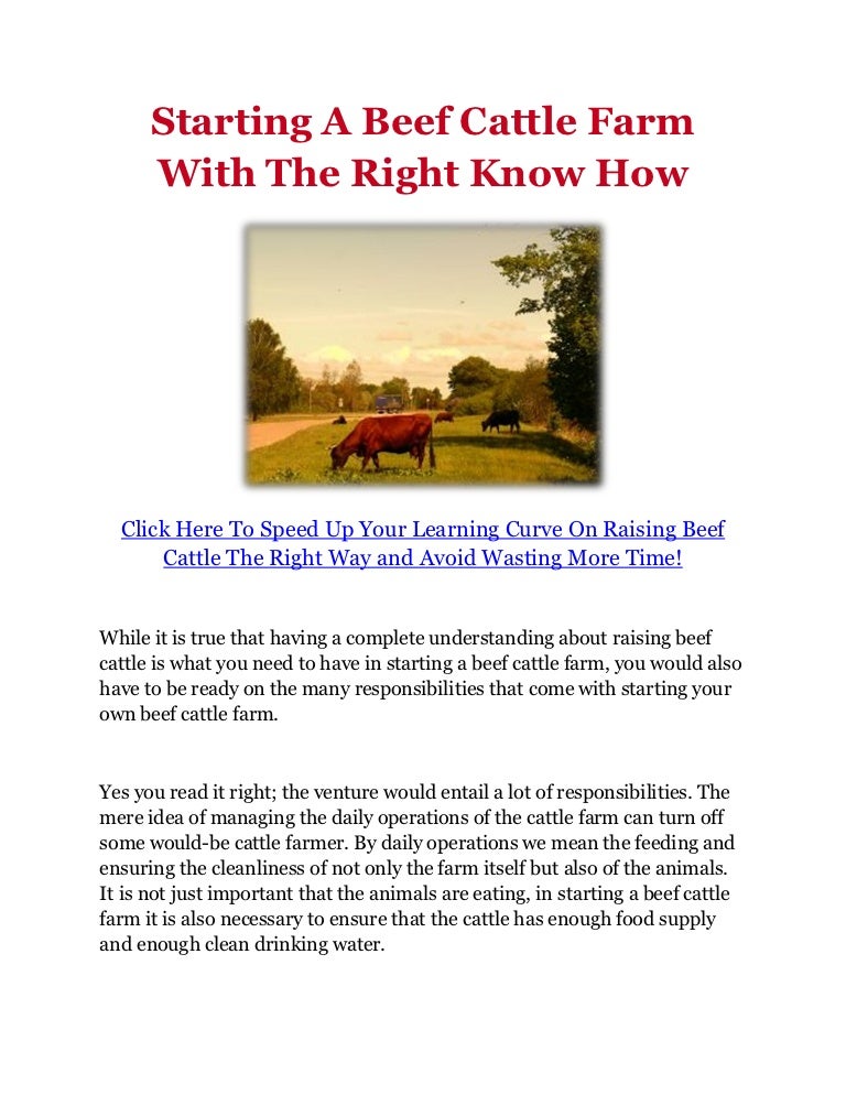 Starting A Beef Cattle Farm With The Right Know How