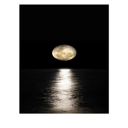 Starting A Business Guide Pdf