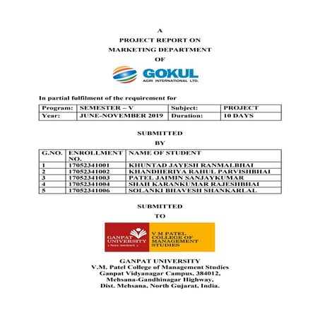 BBA final year internship project report