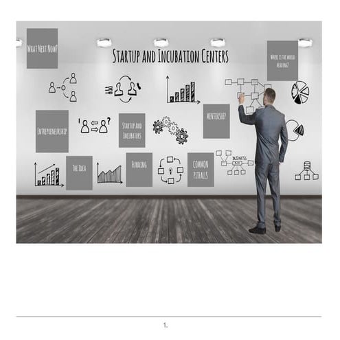 Startup and incubation