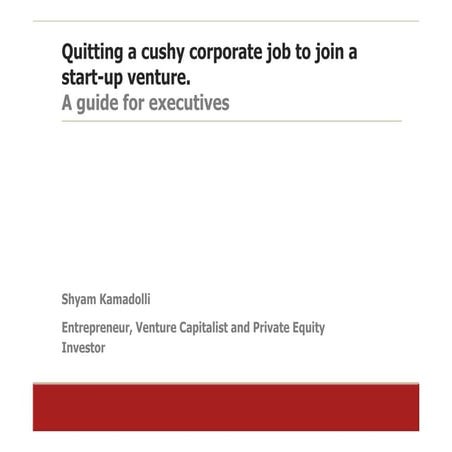 Startup Guide For Corporate Execs