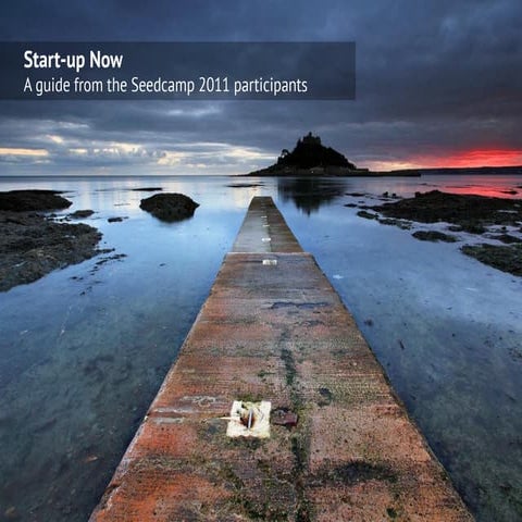 Startup Now: A Guide from the Seedcamp 2011 participants