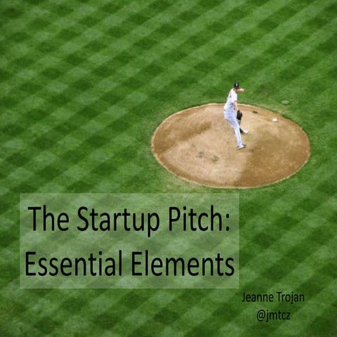 Startup pitch