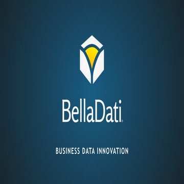 BellaDati Overview