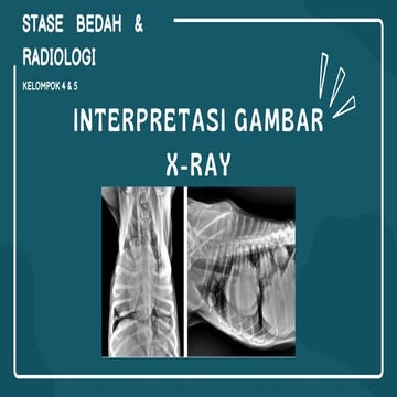 Bagaimana cara membaca foto rontgen/x-ray | PPT